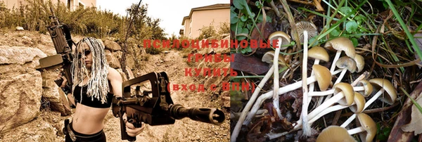 гидра Бородино
