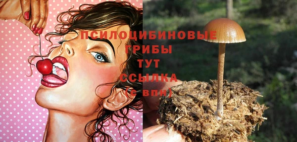 apvp Бугульма