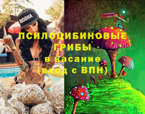 гидра Бородино
