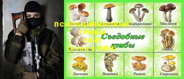 дживик Волоколамск
