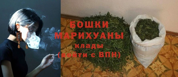 гидра Бородино